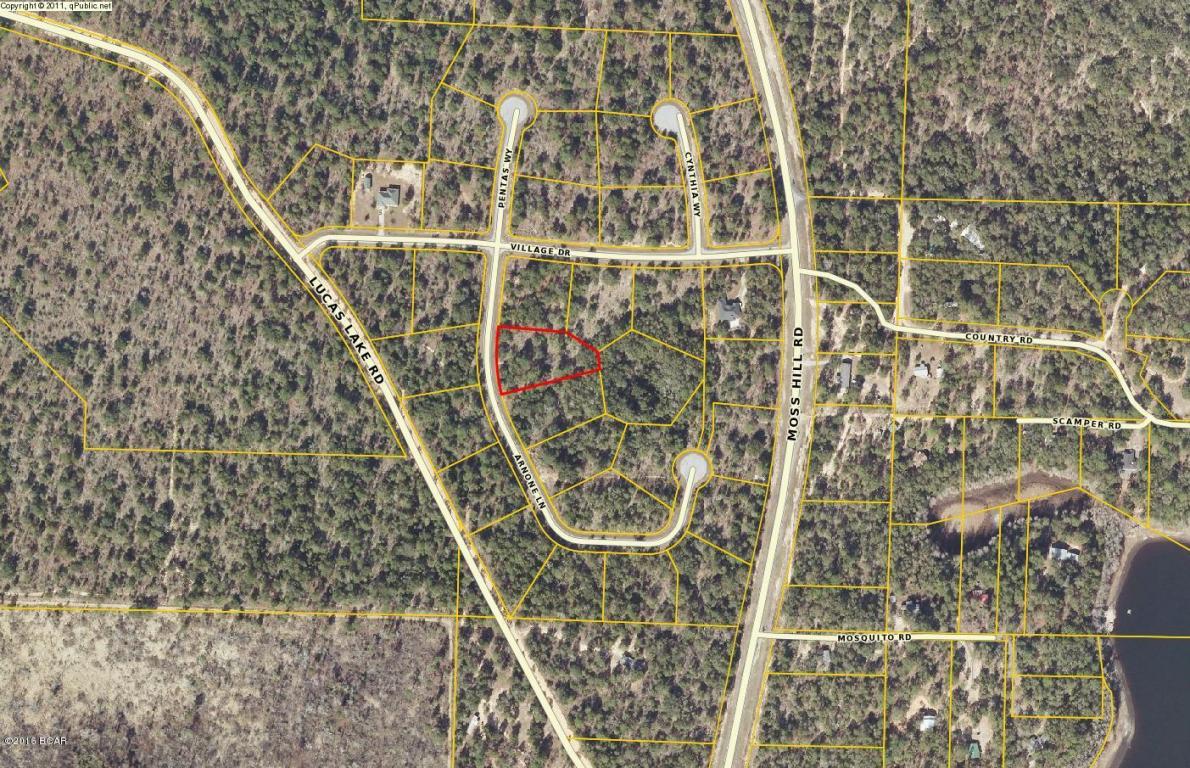 LOT 5 ARNONE Lane, Chipley, FL 32428