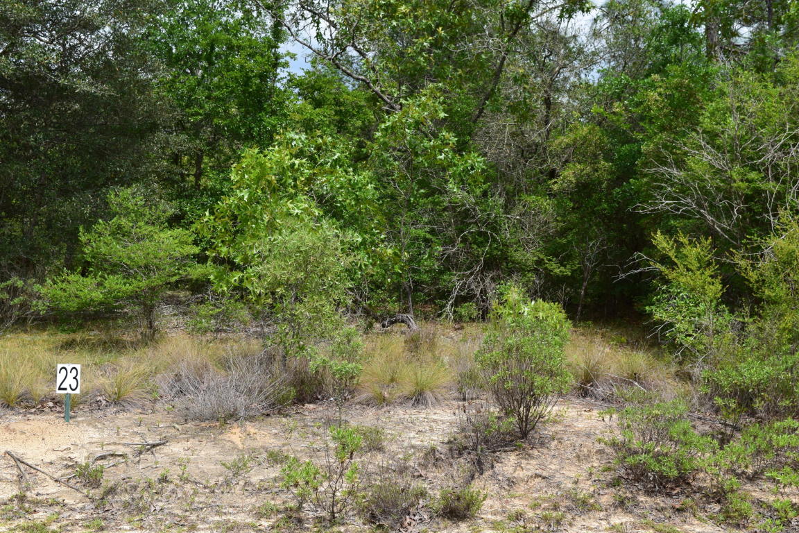 LOT 21 ARNONE Lane, Chipley, FL 32428
