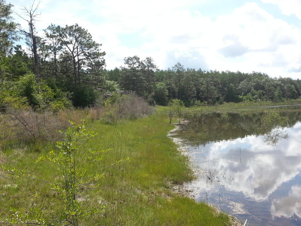 0000 ROLLING PINES Road, Chipley, FL 32428