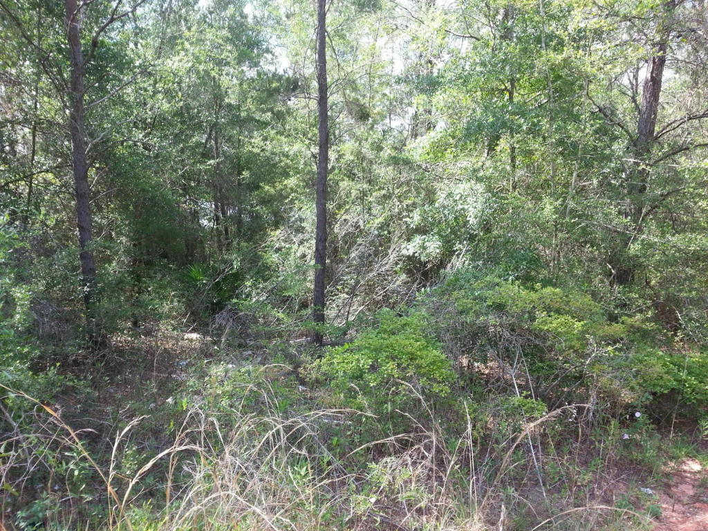 0000 ROLLING PINES Road, Chipley, FL 32428