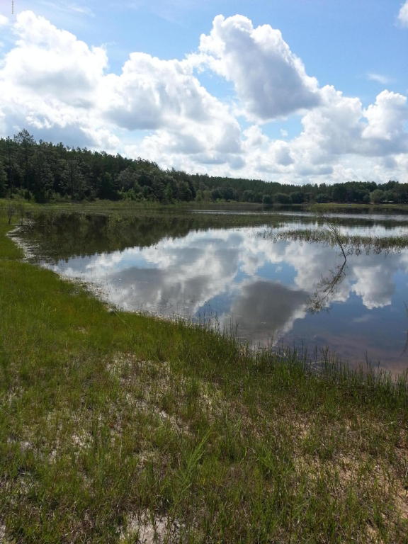 0000 ROLLING PINES Road, Chipley, FL 32428