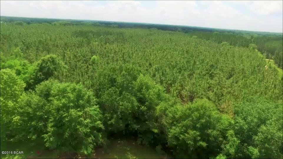 000 ELDRIDGE Road, Cottondale, FL 32431