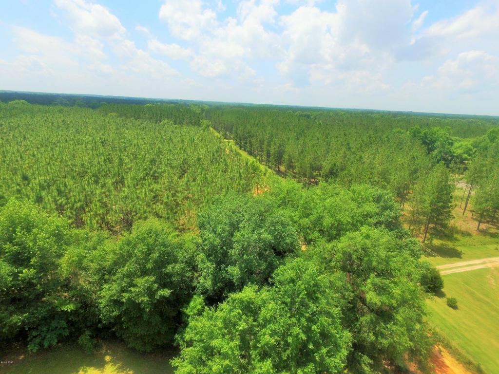 000 ELDRIDGE Road, Cottondale, FL 32431