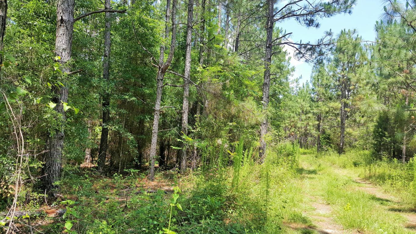 000 ELDRIDGE Road, Cottondale, FL 32431