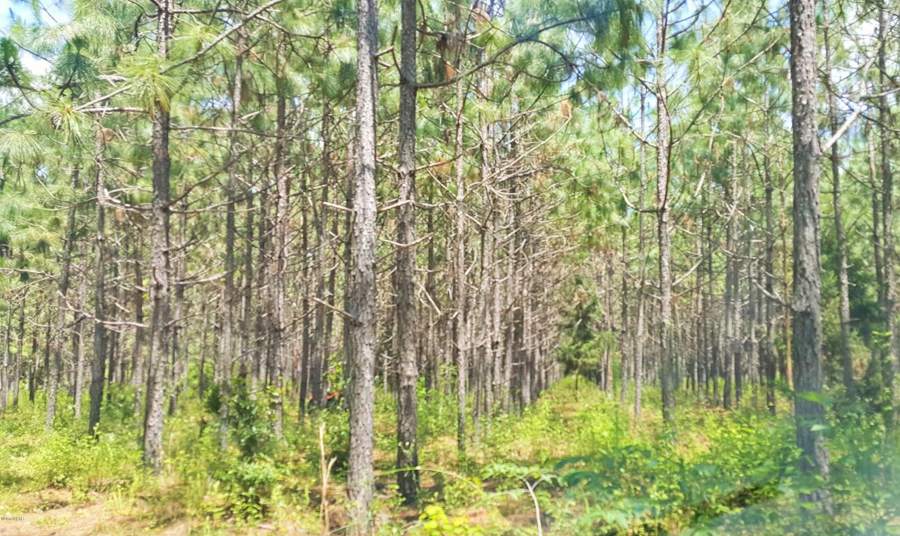000 ELDRIDGE Road, Cottondale, FL 32431