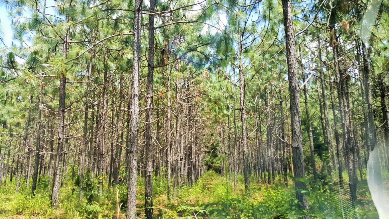 000 ELDRIDGE Road, Cottondale, FL 32431