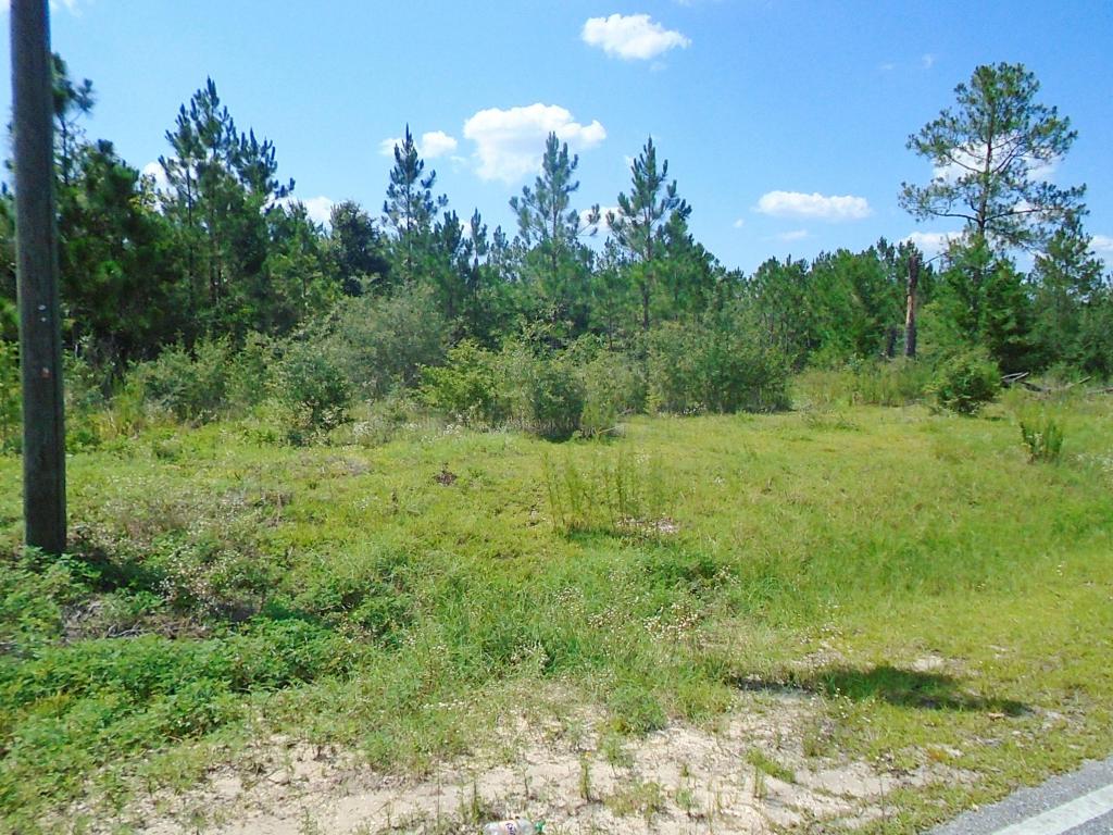 00 Girl Scout Rd, Defuniak Springs, FL 32433