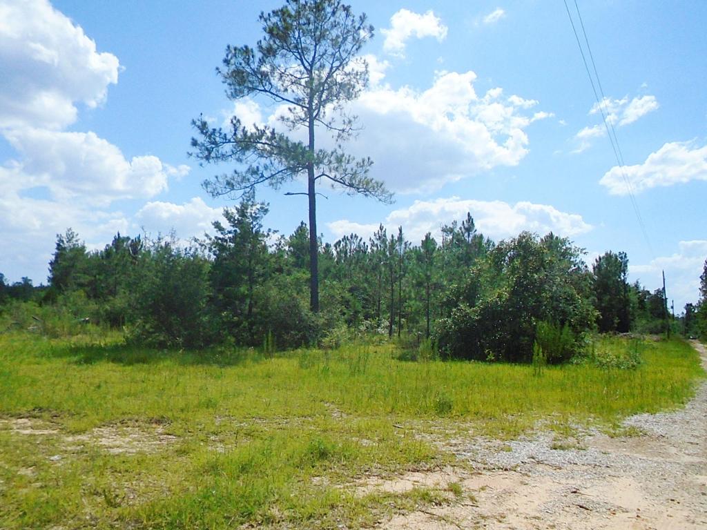 00 Girl Scout Rd, Defuniak Springs, FL 32433