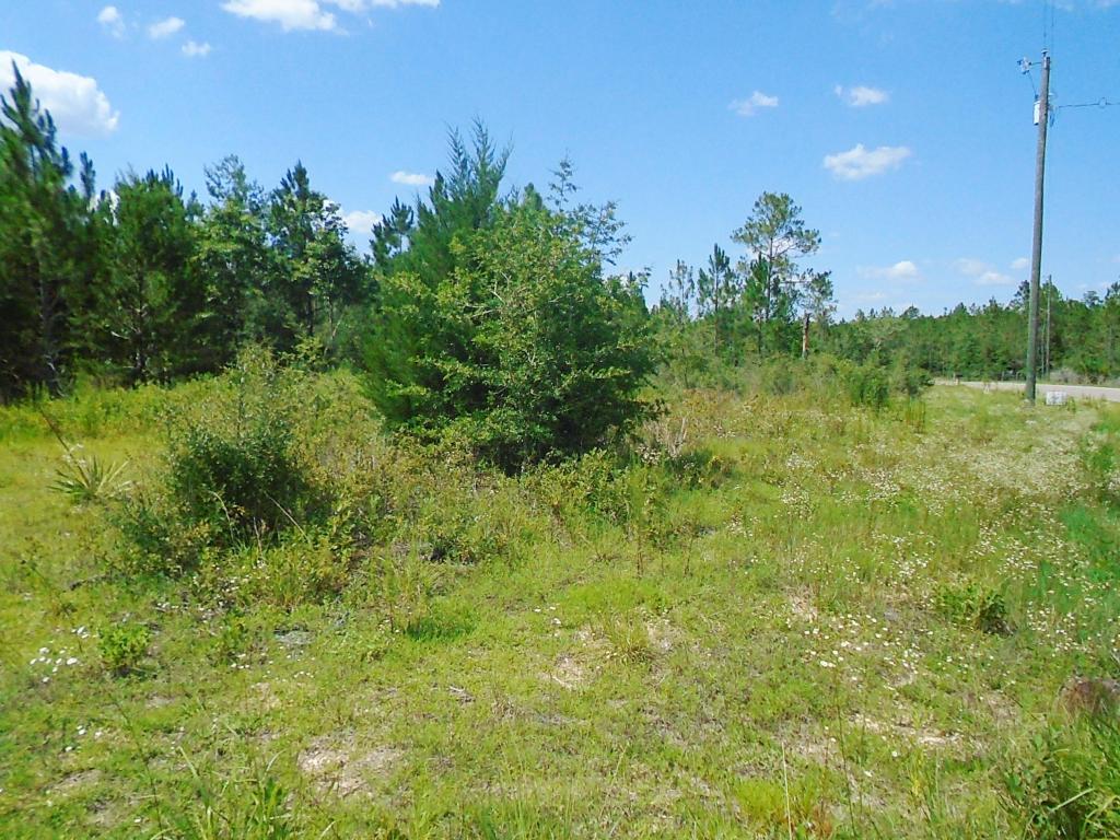 00 Girl Scout Rd, Defuniak Springs, FL 32433