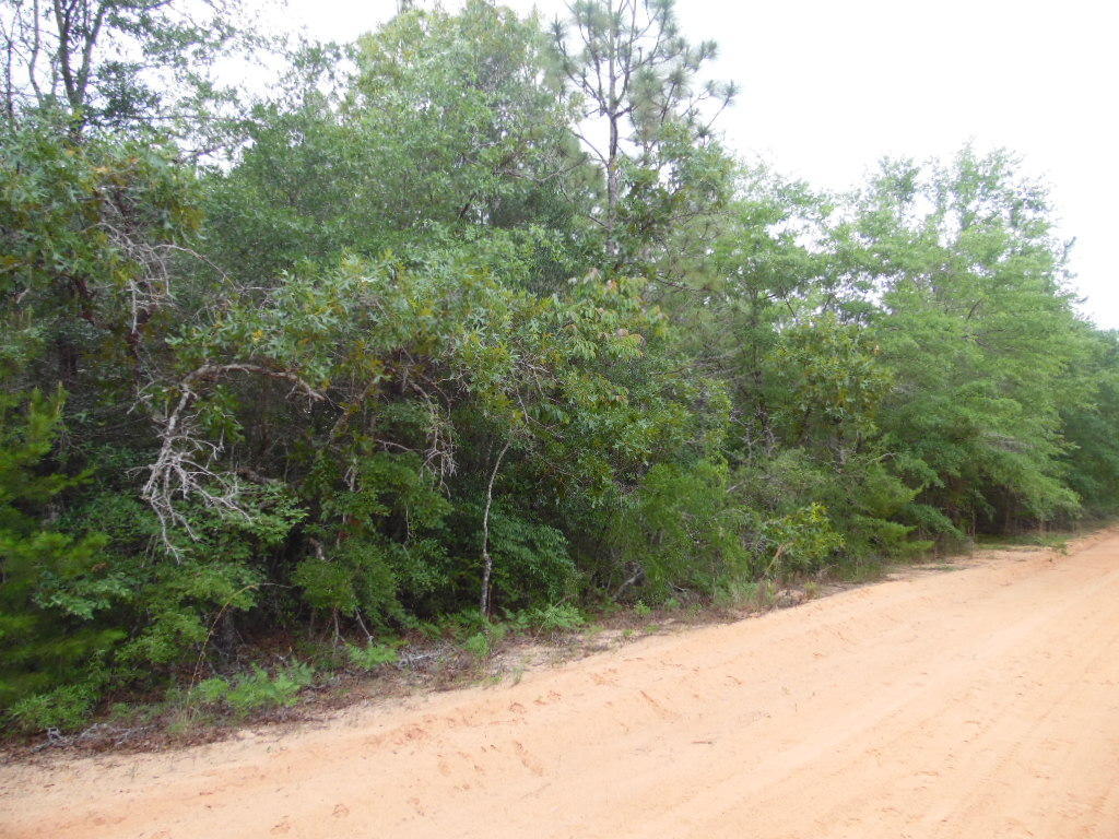 Lot #20 W Picasso Circle, Defuniak Springs, FL 32433