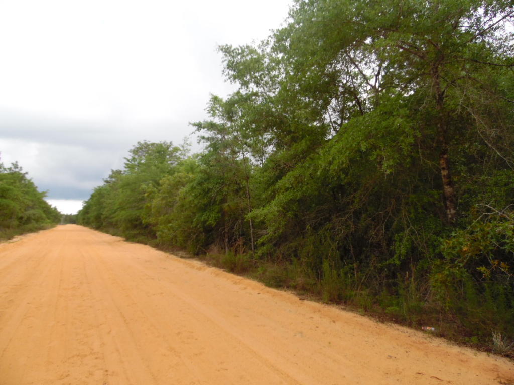 Lot #20 W Picasso Circle, Defuniak Springs, FL 32433
