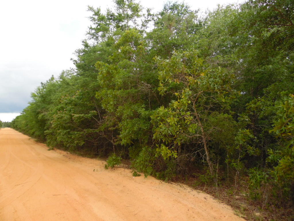 Lot #18 W Picasso Circle, Defuniak Springs, FL 32433