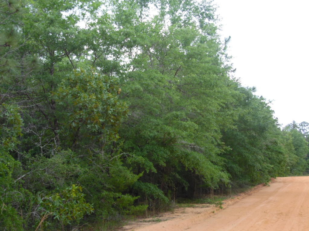 Lot #18 W Picasso Circle, Defuniak Springs, FL 32433
