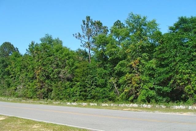 LOT 1&5 TROUT Drive, Defuniak Springs, FL 32433