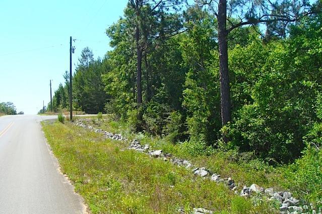 LOT 1&5 TROUT Drive, Defuniak Springs, FL 32433