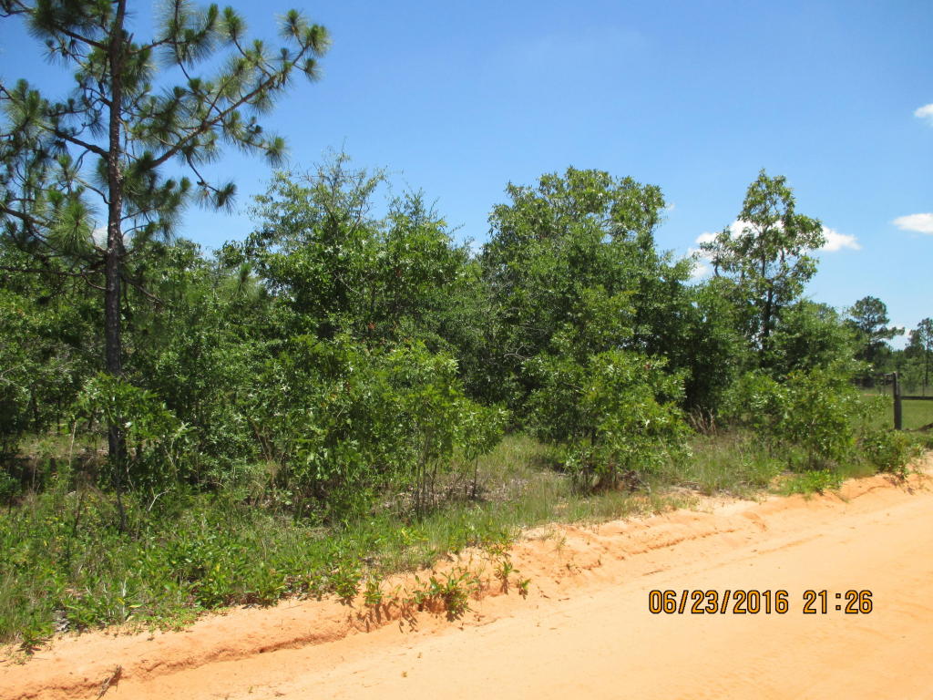 00 Rockman Lane, Defuniak Springs, FL 32433