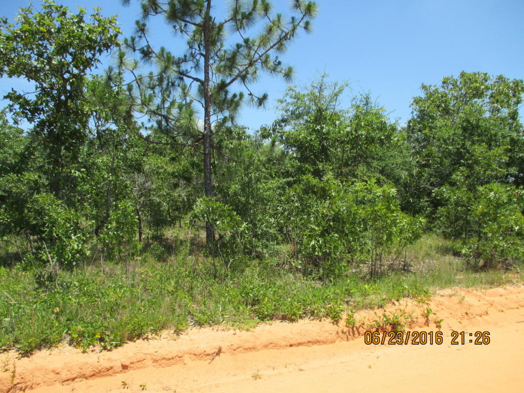 00 Rockman Lane, Defuniak Springs, FL 32433