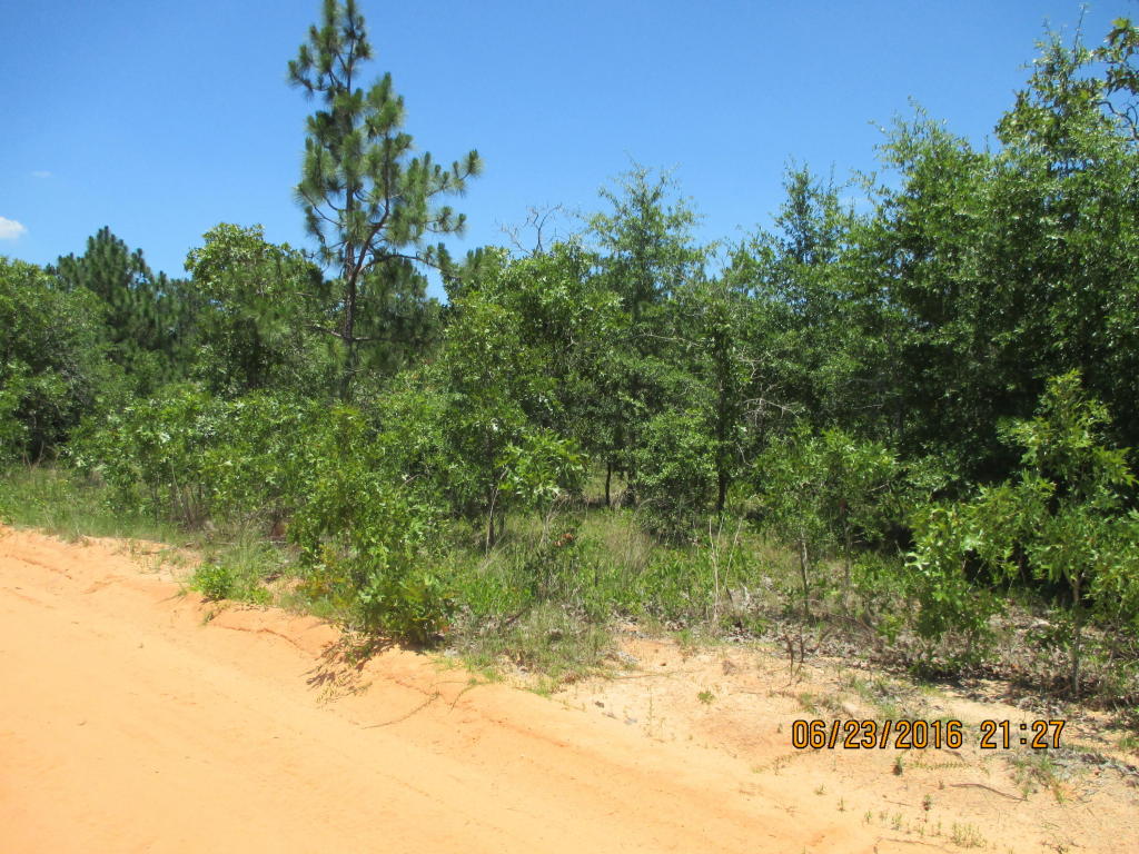 00 Rockman Lane, Defuniak Springs, FL 32433