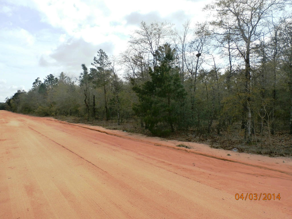 606 E PICASSO Road, Defuniak Springs, FL 32433