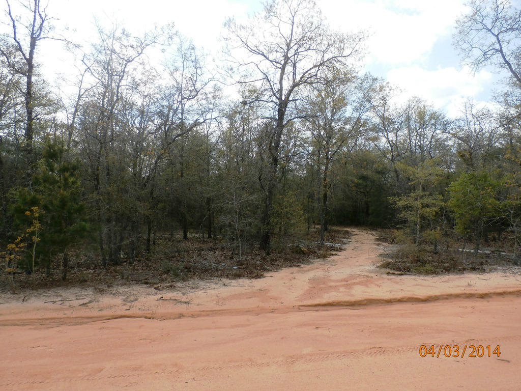 606 E PICASSO Road, Defuniak Springs, FL 32433