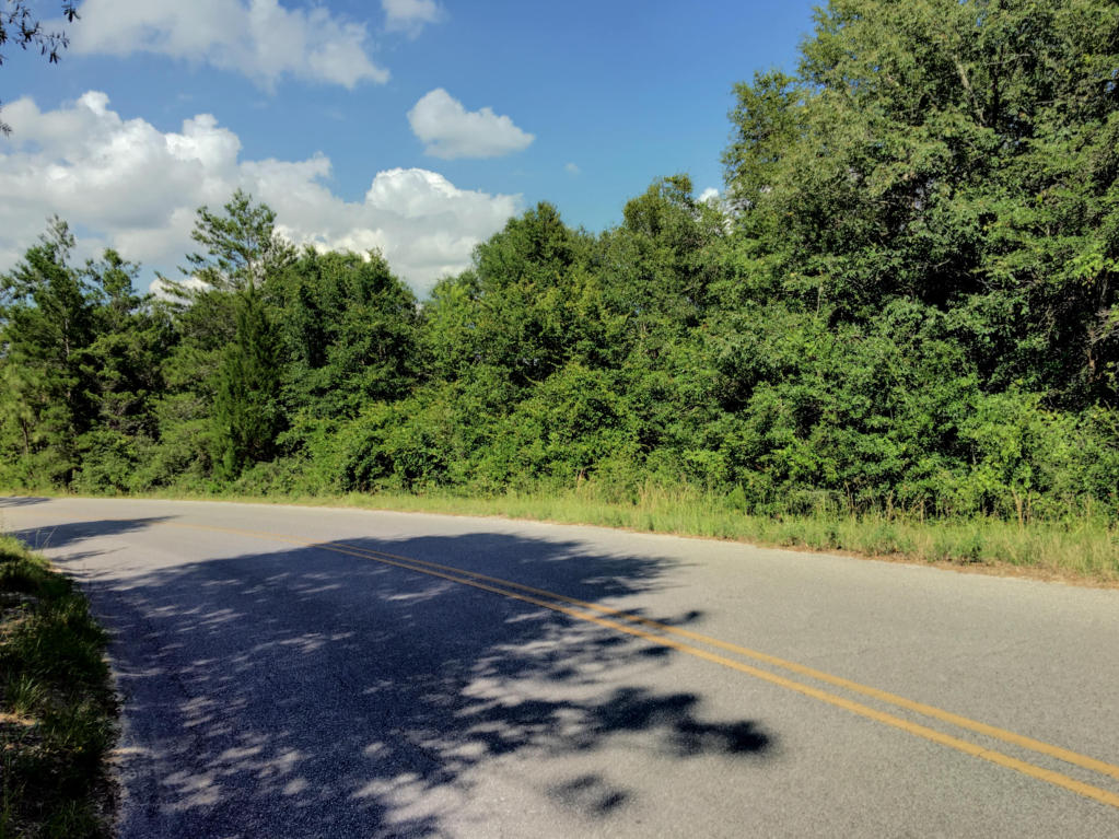 Lot 1 OAKRIDGE, Defuniak Springs, FL 32433