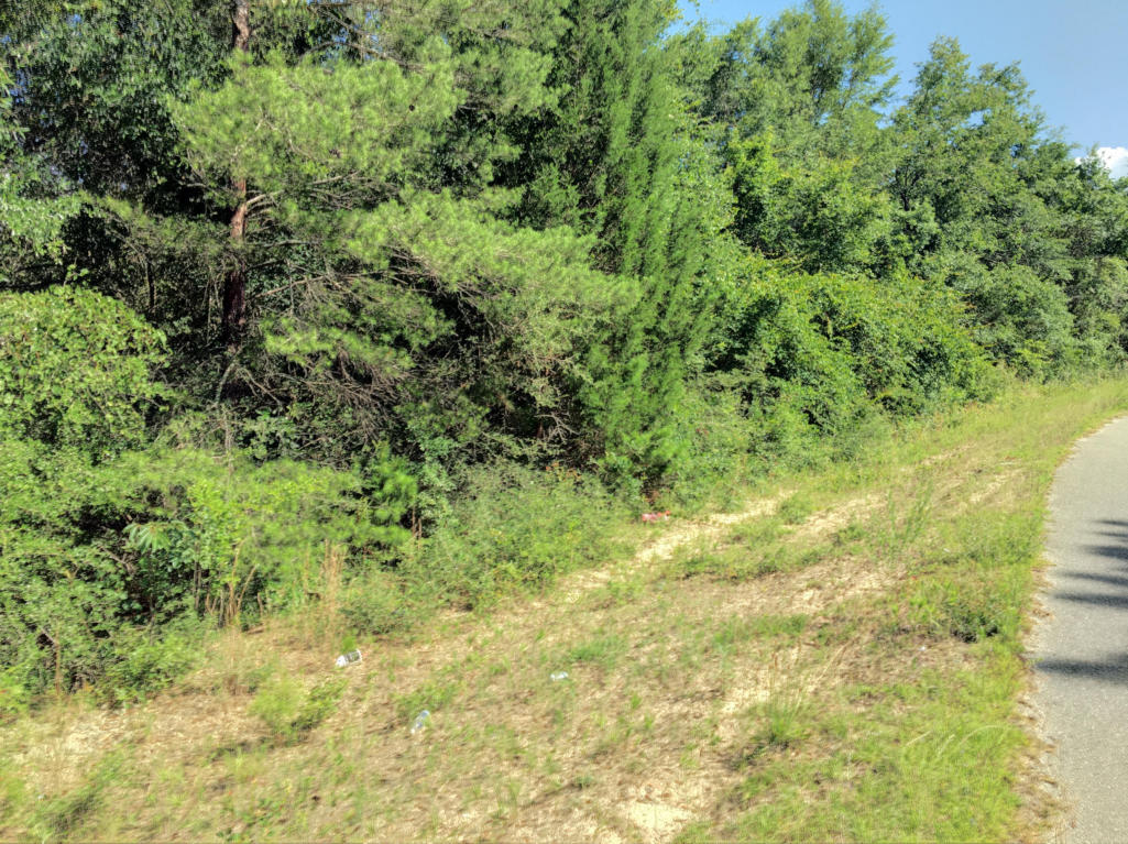 Lot 1 OAKRIDGE, Defuniak Springs, FL 32433
