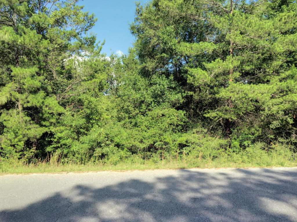 Lot 1 OAKRIDGE, Defuniak Springs, FL 32433