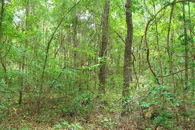 LOT 121 BELL Drive, Defuniak Springs, FL 32433
