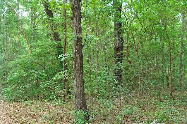 LOT 121 BELL Drive, Defuniak Springs, FL 32433