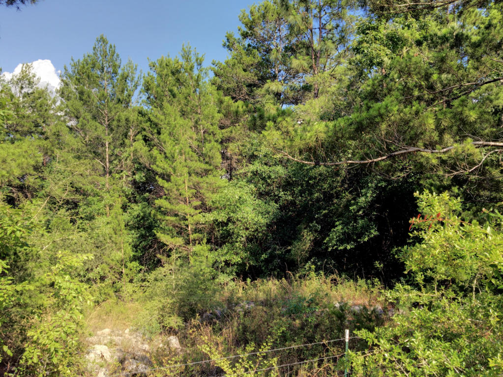 Lot 2 OAKRIDGE, Defuniak Springs, FL 32433