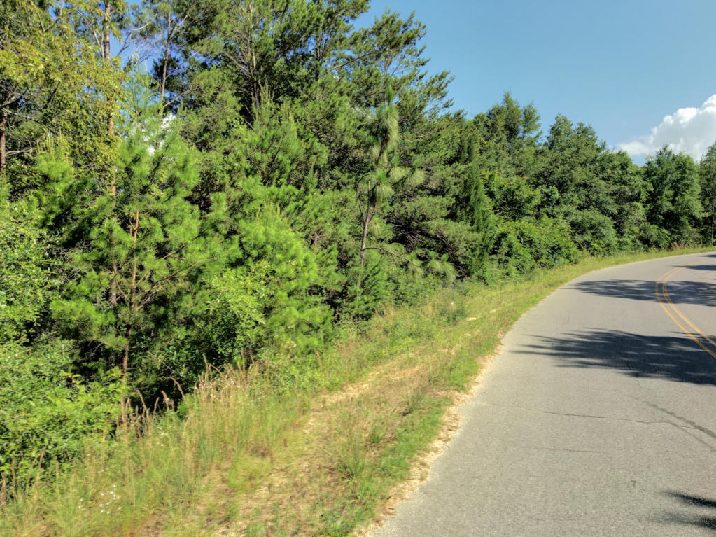 Lot 2 OAKRIDGE, Defuniak Springs, FL 32433