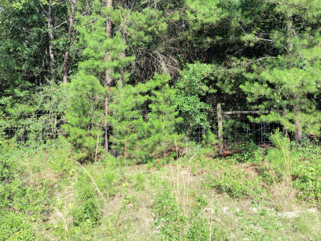 Lot 2 OAKRIDGE, Defuniak Springs, FL 32433