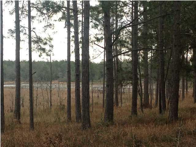XXX CASWELL Road, Defuniak Springs, FL 32433