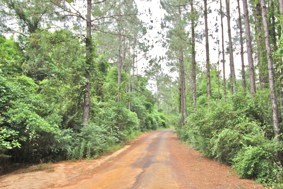 21.3 Acres LITTLE CREEK Trail, Defuniak Springs, FL 32433