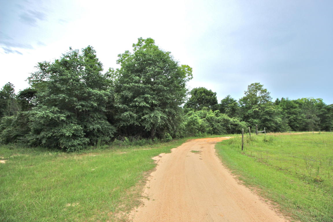 21.3 Acres LITTLE CREEK Trail, Defuniak Springs, FL 32433