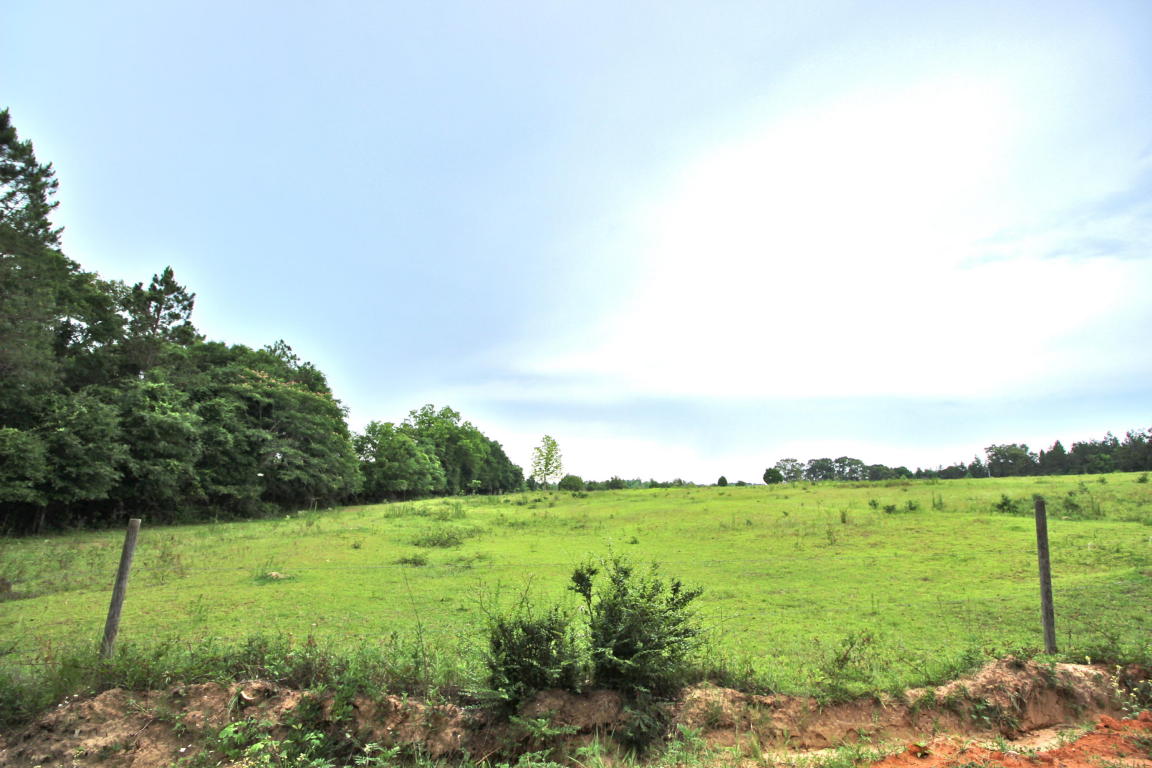 21.3 Acres LITTLE CREEK Trail, Defuniak Springs, FL 32433