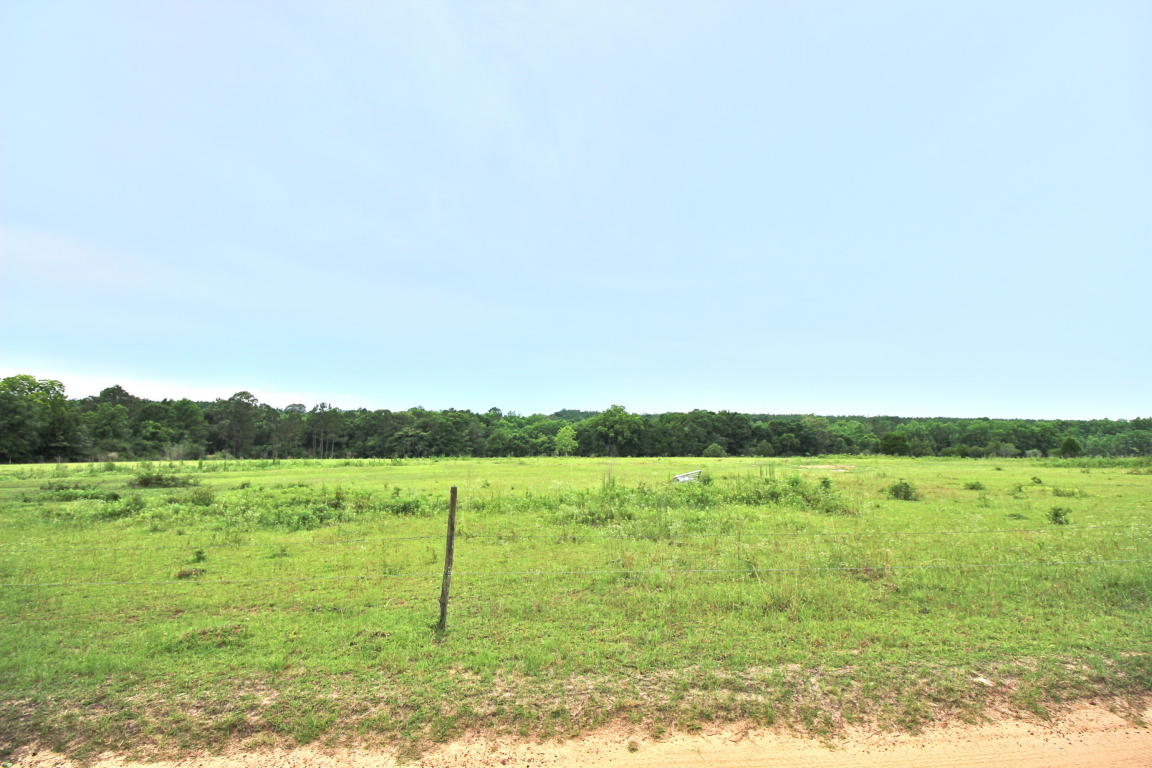 21.3 Acres LITTLE CREEK Trail, Defuniak Springs, FL 32433