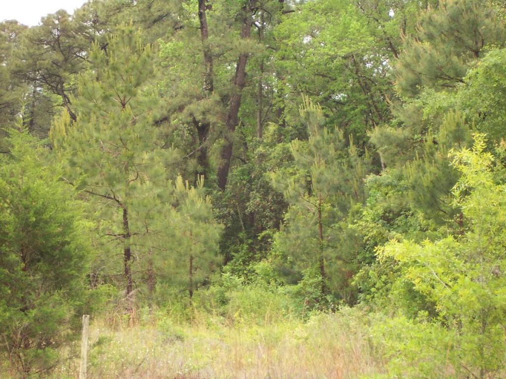 7 ac JUNIPER LAKE, Defuniak Springs, FL 32433