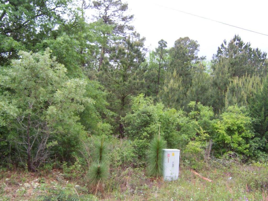 7 ac JUNIPER LAKE, Defuniak Springs, FL 32433