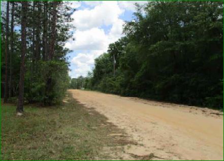 11805 Camellia StFountain, FL, 32438Bay County