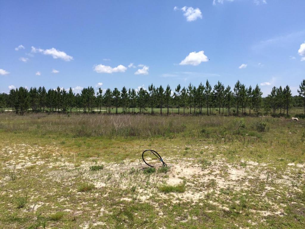 LOT 6 BLK FAIRWAY, Freeport, FL 32439