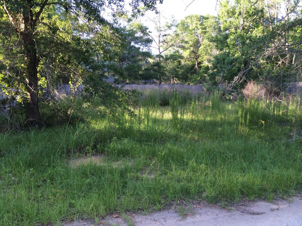 LOT 5 BLK Bob Cat Lane, Freeport, FL 32439