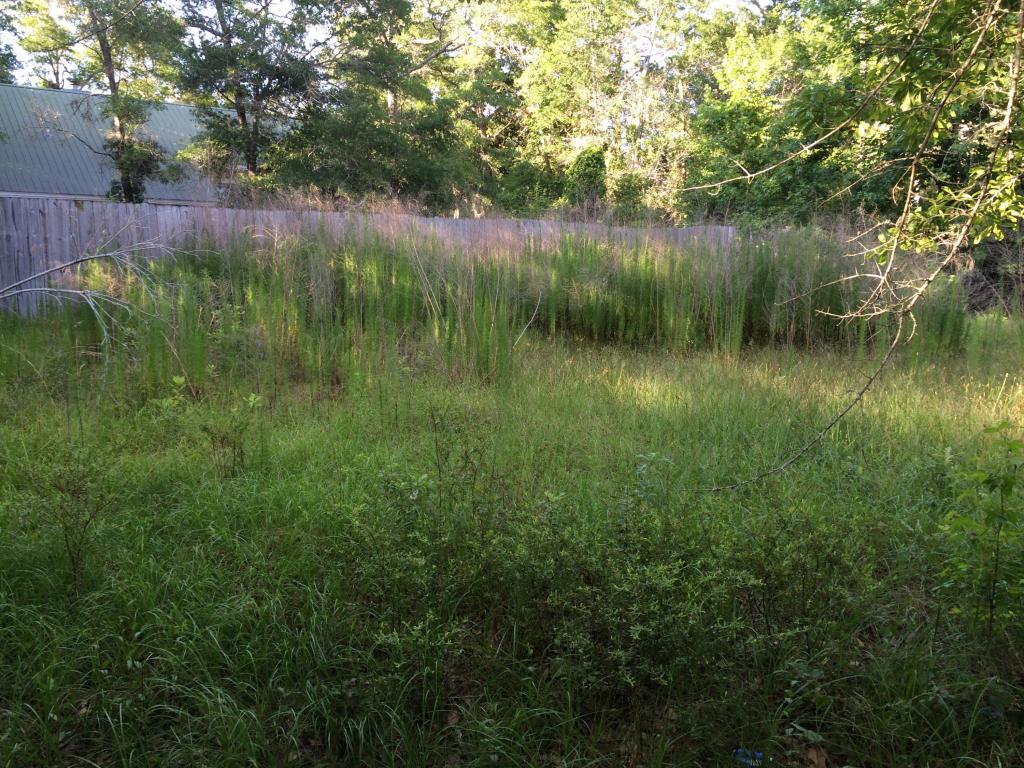 LOT 5 BLK Bob Cat Lane, Freeport, FL 32439