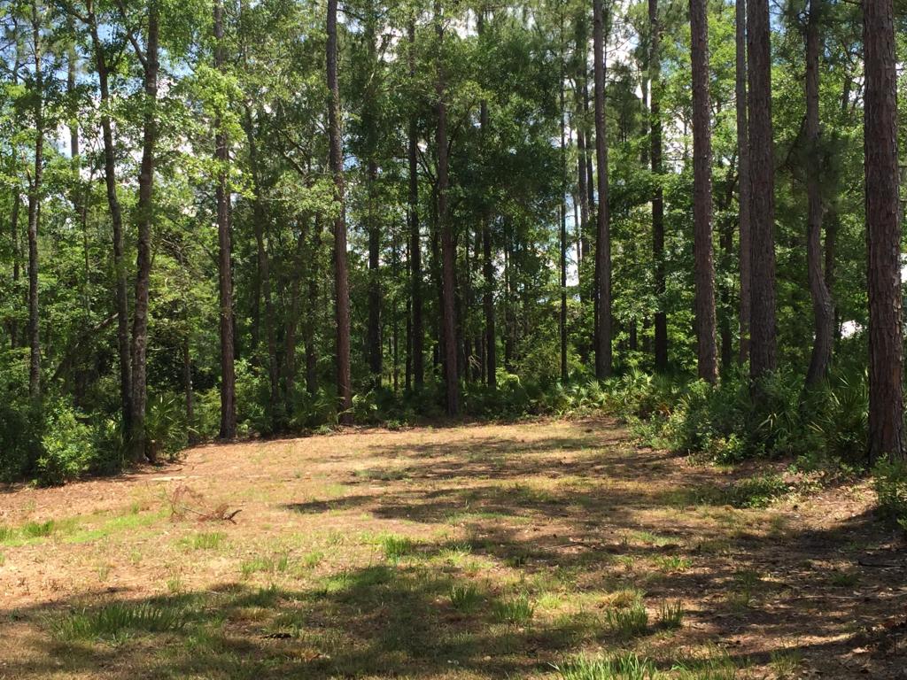 Lot 40 Island Grove Drive, Freeport, FL 32439