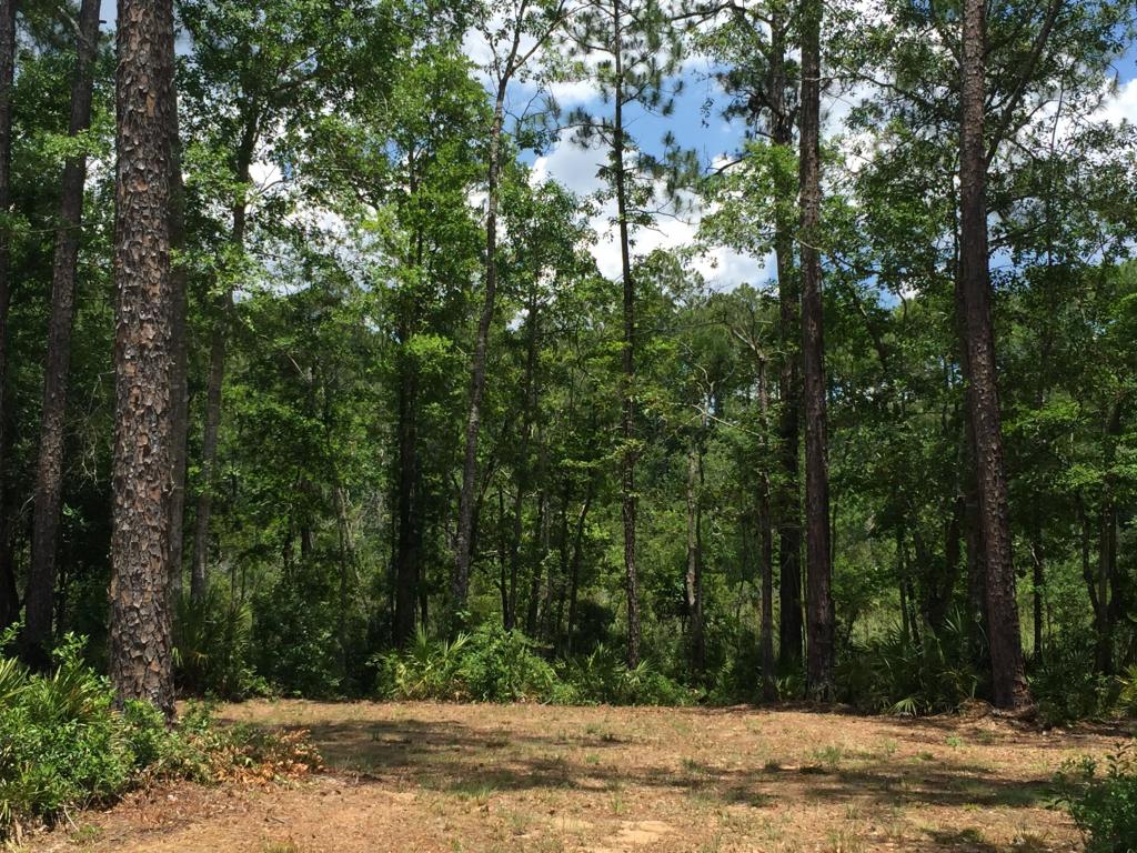 Lot 40 Island Grove Drive, Freeport, FL 32439