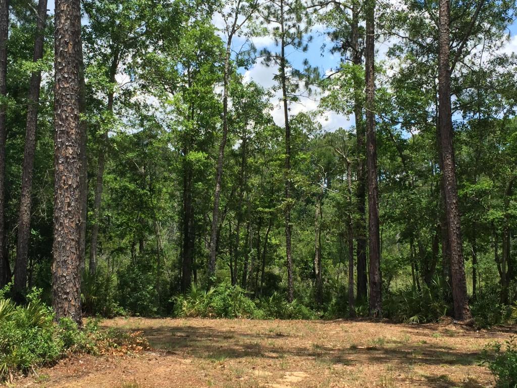 Lot 40 Island Grove Drive, Freeport, FL 32439