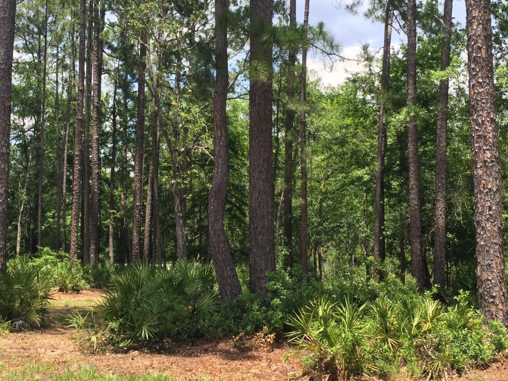 Lot 40 Island Grove Drive, Freeport, FL 32439