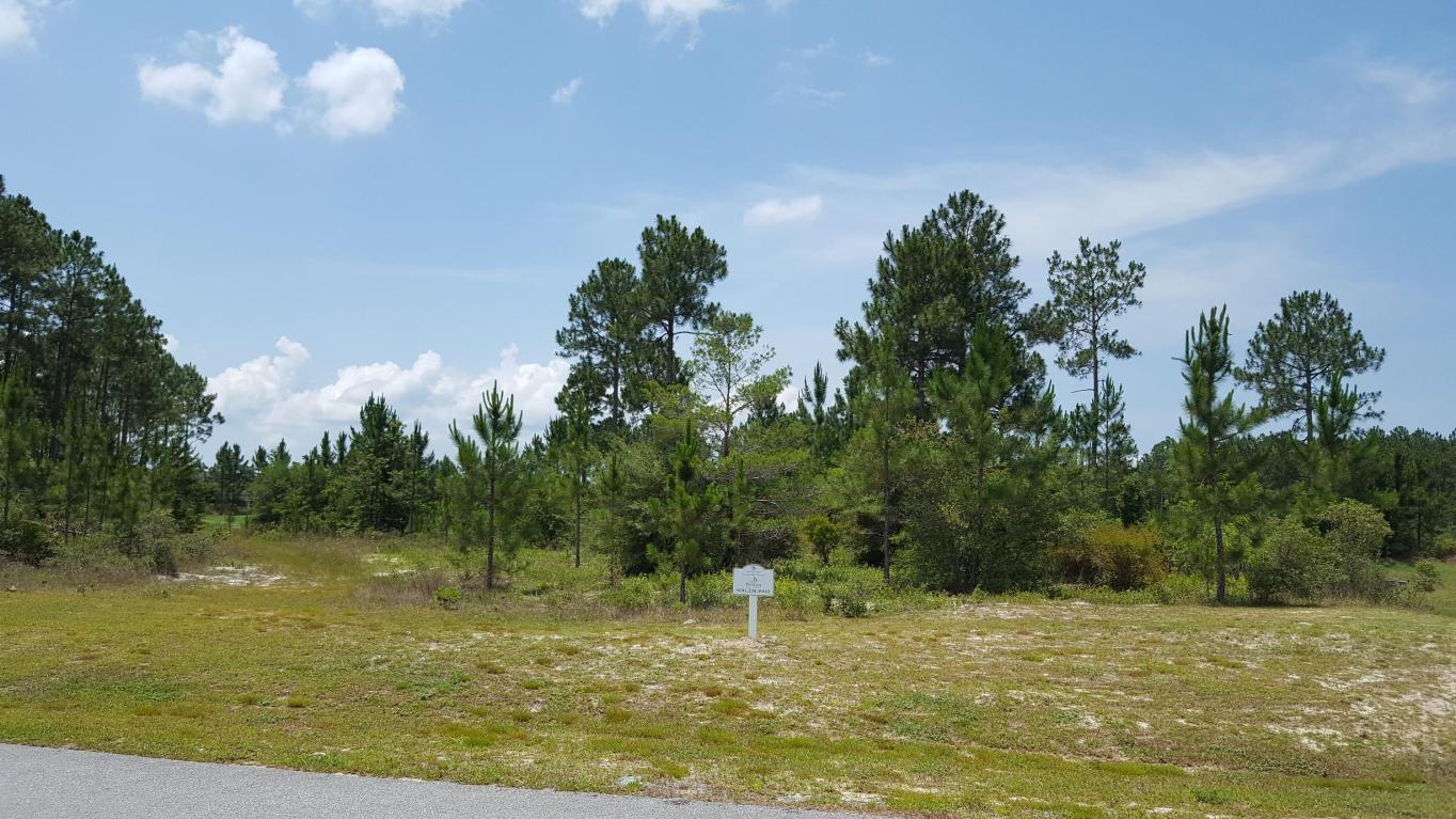 Lot 3 Brushed Dune Circle, Freeport, FL 32439