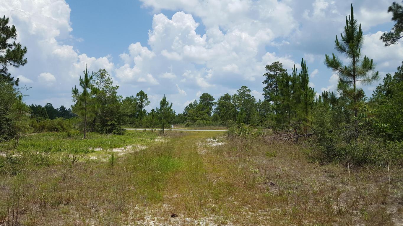 Lot 3 Brushed Dune Circle, Freeport, FL 32439