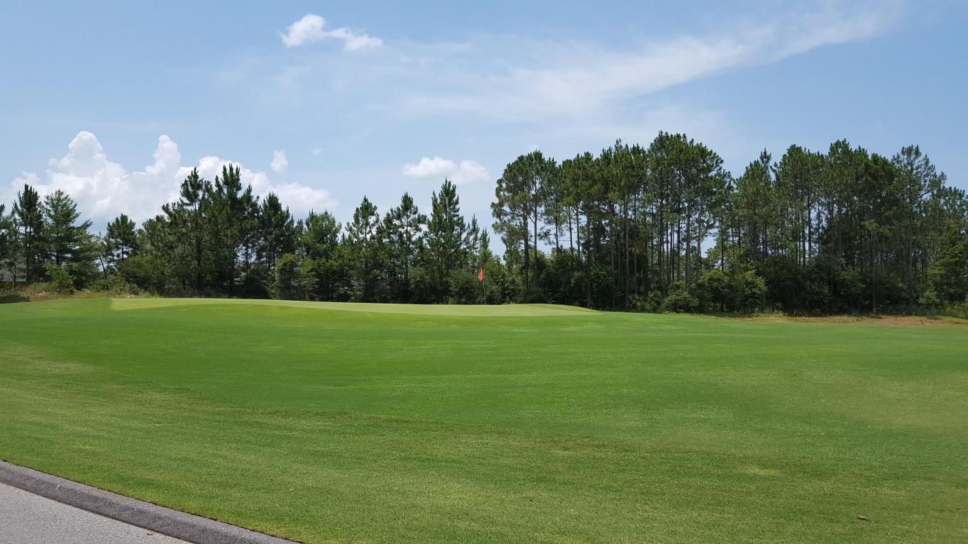 Lot 3 Brushed Dune Circle, Freeport, FL 32439